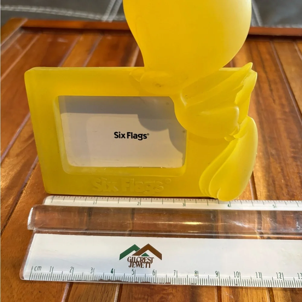 Vintage Looney Tunes Tweety Bird picture frame produced for Six Flags